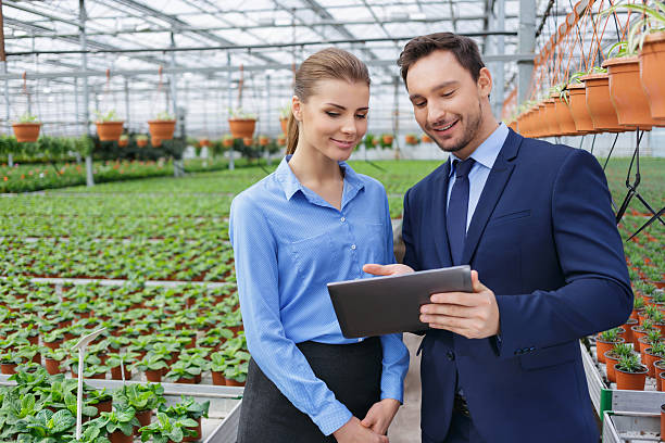istock Nice greenhouse owners controlling their business 497653542
