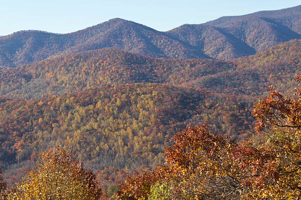 istock Colorful Autumn in the Appalachiam Mountains 497654450