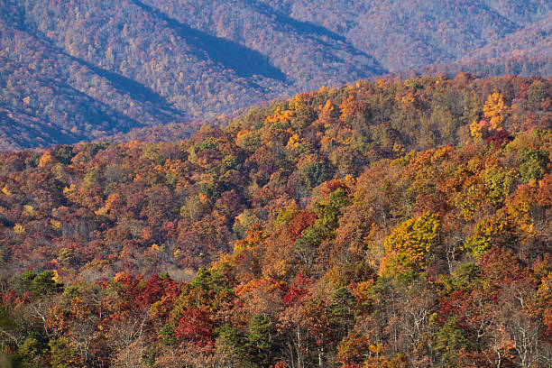 istock Colorful, Scenic Appalachian Mountain Forest 497654684