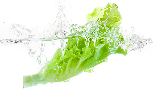 Lettuce falls under water with a splash. isolated on white background