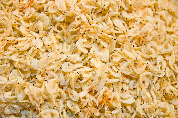 istock Close up to Dry shrimp. 497658462