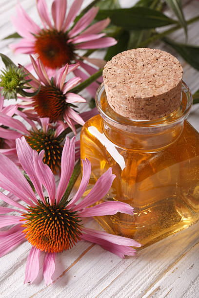ätherischen ölen der echinacea purpurea, nahaufnahme, vertikal - alternative medicine herbal medicine aromatherapy oil herb stock-fotos und bilder
