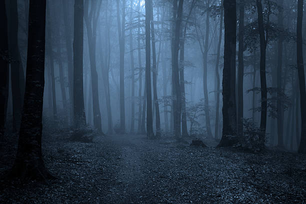 istock Horror trail in foggy forest 497676854