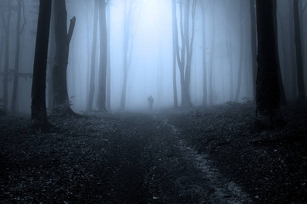 istock Dark silhouette on the trail in foggy forest 497677068
