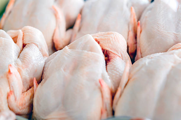 Raw  butchered chicken Raw  butchered chicken in queue Poultry stock pictures, royalty-free photos & images