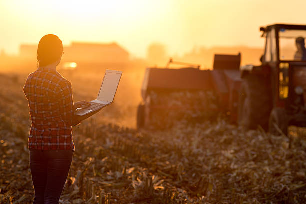Woman with laptop in the field Young woman with laptop standing on field  in sunset and looking at tractor baling bale photos stock pictures, royalty-free photos & images