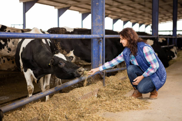 istock Young Woman Farmer 497683032