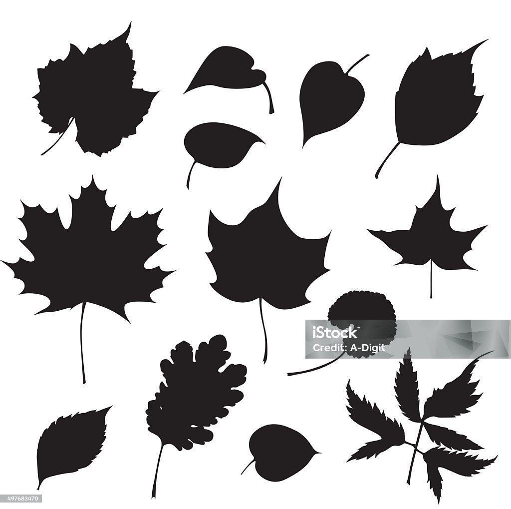 Tree Leaves A vector silhouette illustration of various leaves in black on a white background. Leaf stock vector