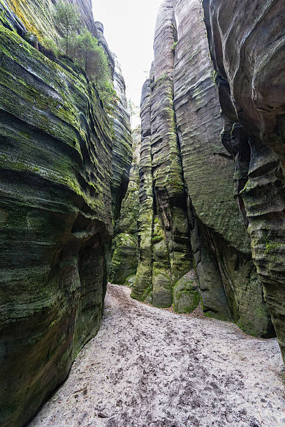 istock Adrspach - Rock City 497684901