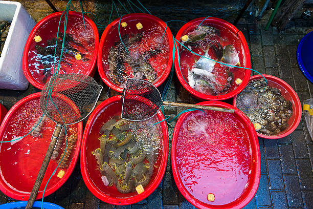 Live Sea Food on display.
