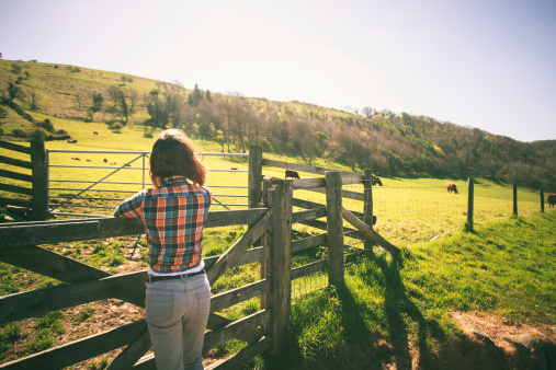 Young woman is standing by a fence on a ranch with cattle in the distance