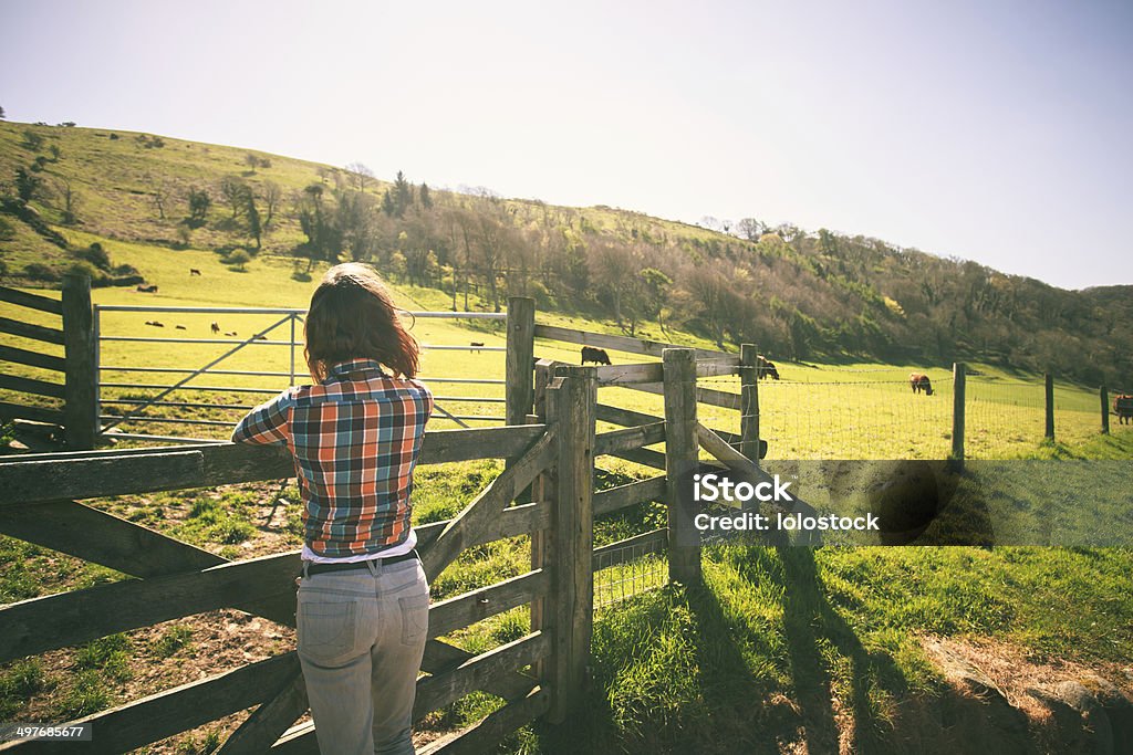 Young woman by a fence on a ranch Young woman is standing by a fence on a ranch with cattle in the distance Adult Stock Photo