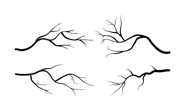 филиал силуэт значок, знак, вектор дизайн. - bare tree dry tree branch stock illustrations