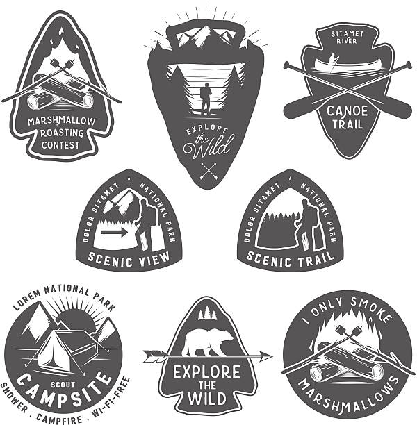 ilustrações de stock, clip art, desenhos animados e ícones de vintage caminhadas e campismo etiquetas, emblemas e elementos de design - camping campfire boy scout girl scout