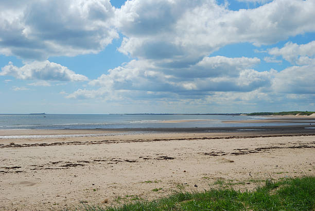 istock estuaryand coastal view at Alnmouth 497688187