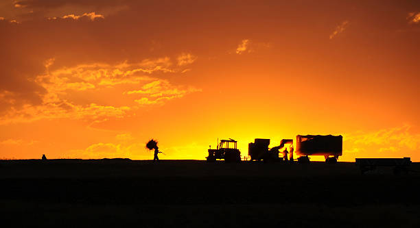 istock Agricultural Activity At Sunset In Turkey 497689726