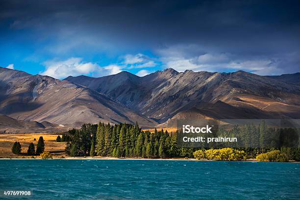 Lake Tekapo Stock Photo - Download Image Now - 2015, Agricultural Field, Beauty