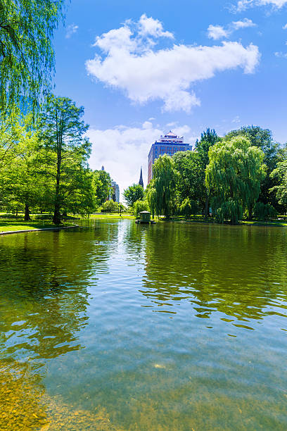 istock Boston Common lake and skyline in Massachusetts 497701436