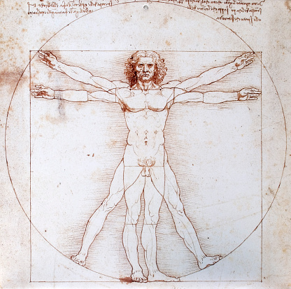 Da Vinci Vitruv photo