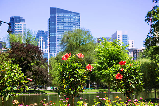 istock Boston Common park gardens and skyline 497703558