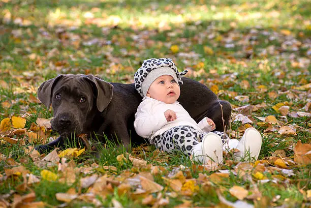 Small baby and dog resting on the grass in the park. The baby lies on dogs back