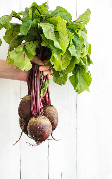 istock Bunch of fresh garden beetroot kept in man's hand 497703912