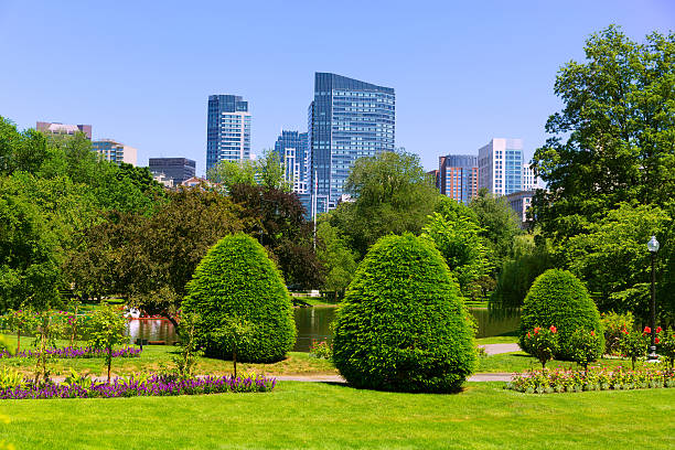 istock Boston Common park gardens and skyline 497704980