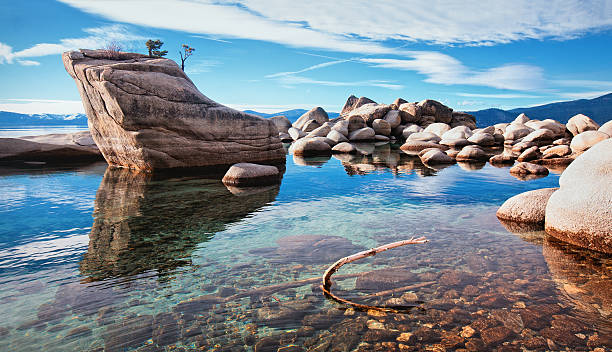 Bonsai rock in lake tahoe stock photo