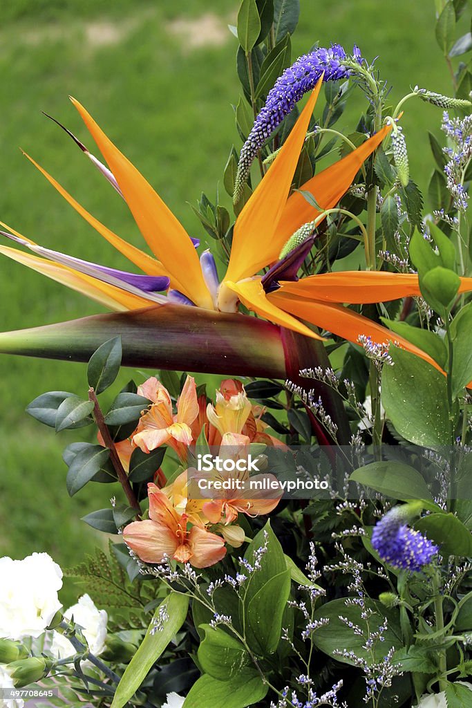 Orange, de bleus et blancs Bouquet de fleurs en herbe - Photo de Anniversaire libre de droits