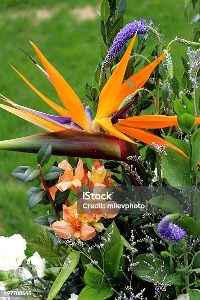 Photo libre de droit de Orange De Bleus Et Blancs Bouquet De Fleurs En Herbe banque d'images et plus d'images libres de droit de Anniversaire