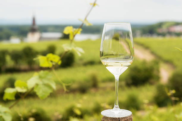 Riesling , White Wine Riesling tasting at Nierstein, Germany. nierstein stock pictures, royalty-free photos & images