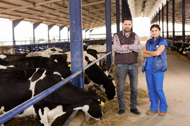 agricultor e vet - arbeit imagens e fotografias de stock