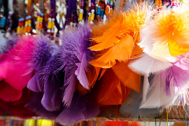 istock colorful animal pens 497709465