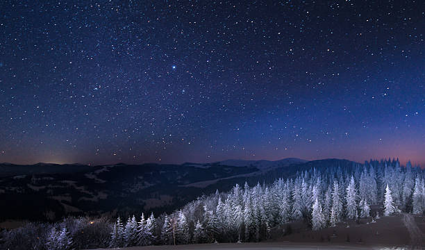 Night in the snowy mountains Snowy view in Carpathian Mountains, winter landscapes series.  fir tree photos stock pictures, royalty-free photos & images