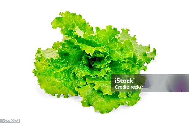 Lechuga Verde Foto de stock y más banco de imágenes de Agricultura - Agricultura, Alimento, Blanco - Color