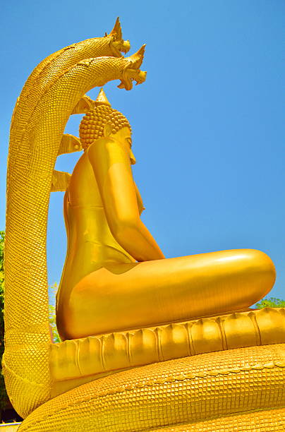istock Stature of Buddha 497711129