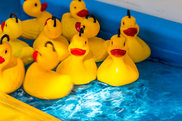 istock yellow Ducklings from fair in water 497711473
