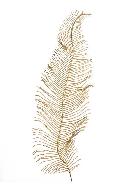 istock Christmas decorative golden leaves 497711962