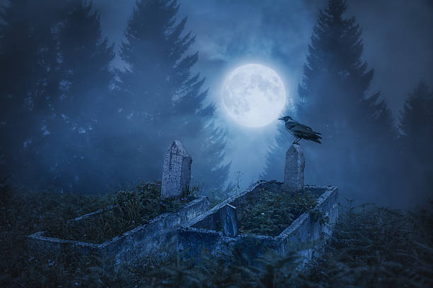 istock Crow sitting on a gravestone in moonlight 497711966