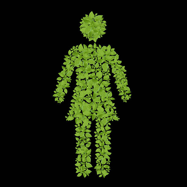 istock green plant Female icon 497714059