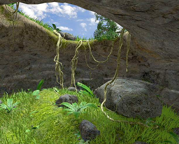la cave - cave fern flowing forest photos et images de collection