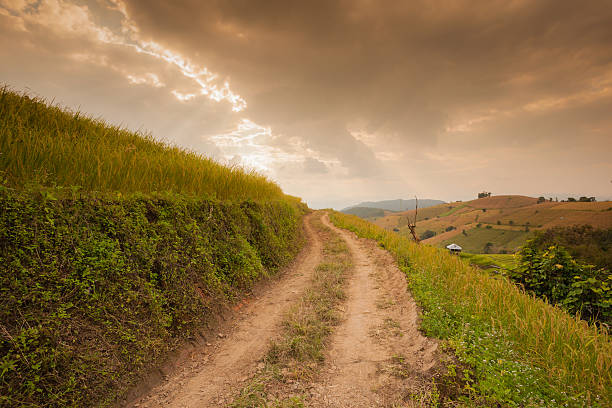 Road to succeed stock photo