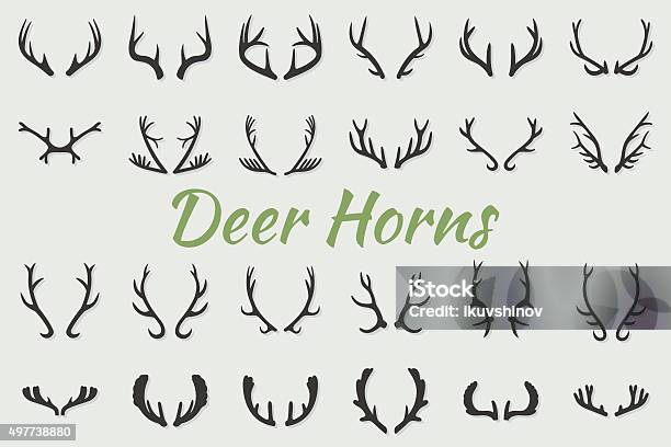 Schwarze Silhouetten Von Verschiedenen Deer Horns Vektor Stock Vektor Art und mehr Bilder von Geweih