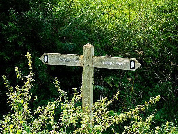 istock Peddars Way - sign pointing in two directions 497738980