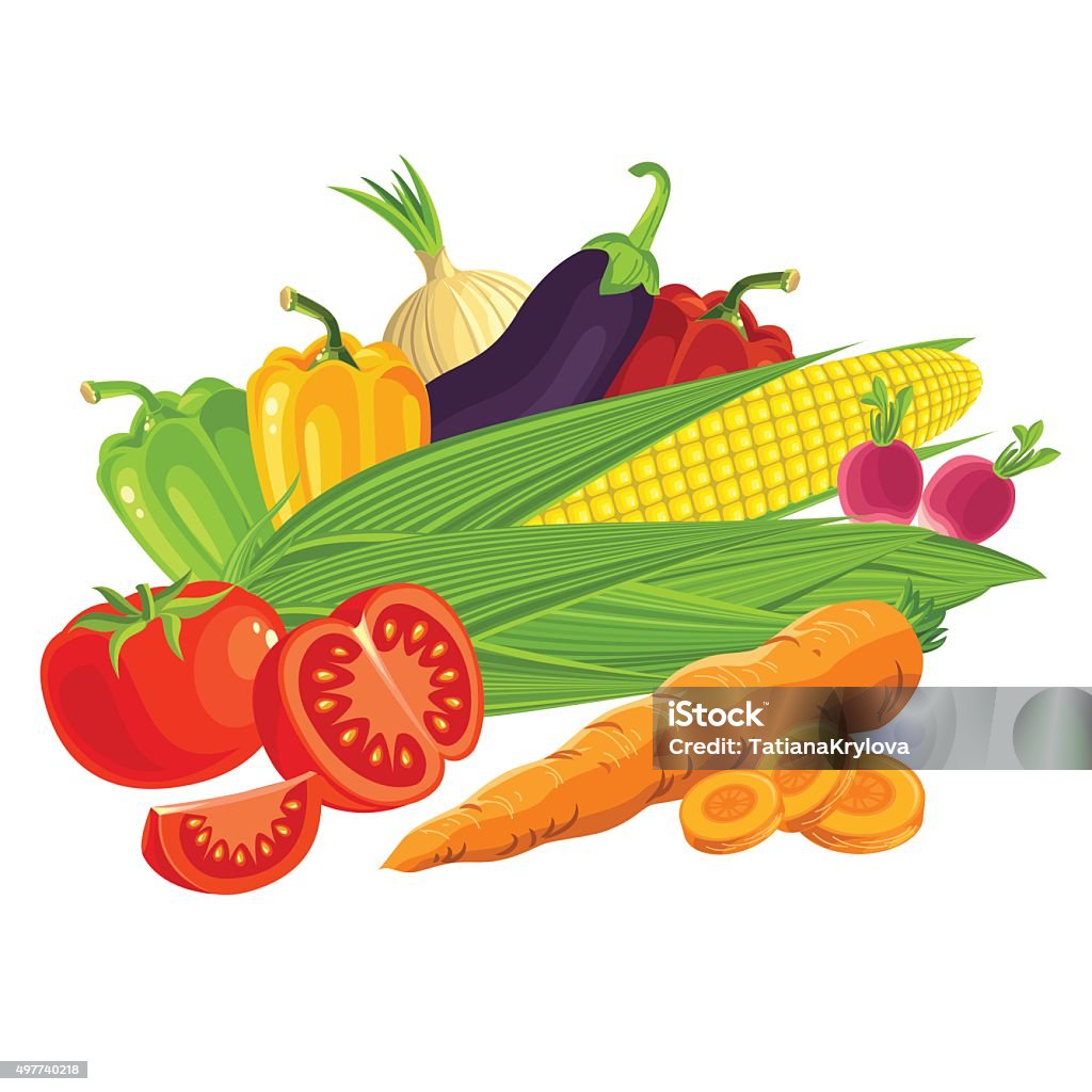 Set of vegetables. Set of vegetables. Tomato, radishes, carrots, peppers, onions, eggplant. Sliced carrots, sliced tomato. Corn on the cob with husks. 2015 stock vector