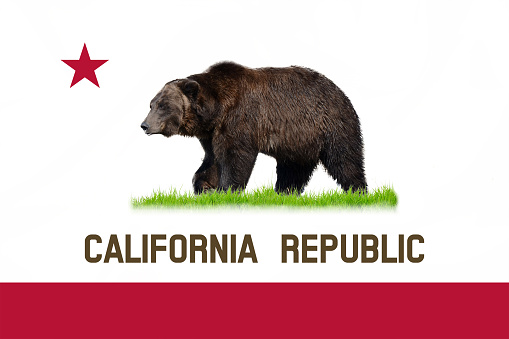 California state national flag with real bear.