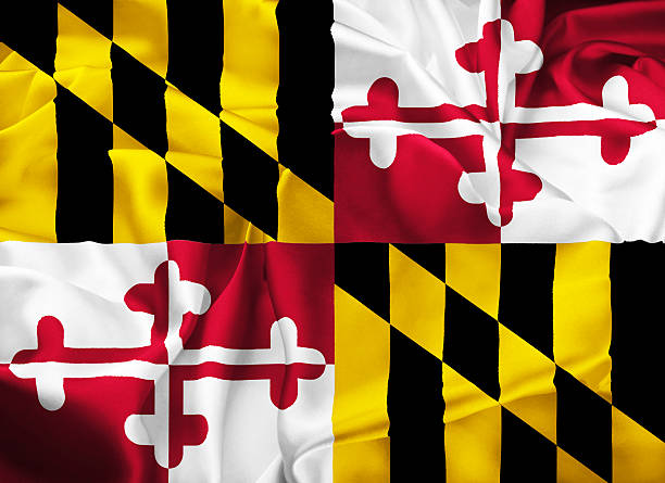 istock State Flag of Maryland 497743808