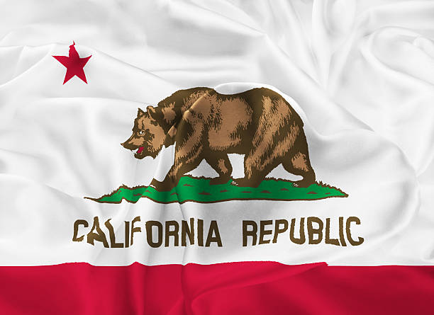istock State Flag of California 497744448