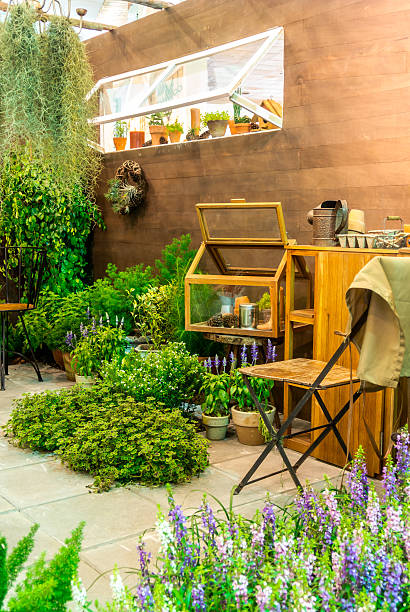 istock Relaxation area in garden. 497745088