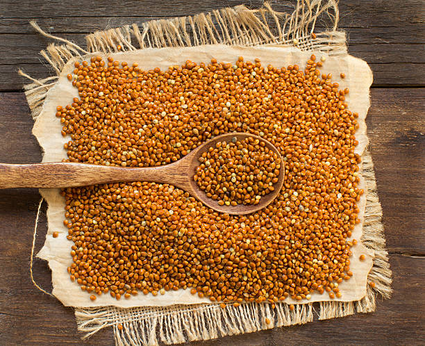 istock Whole brown millet pile with a spoon 497746942
